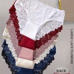 [Elegant Floral Lace Panties] 6-Pack Women's Underwear - Elegant Floral Lace Panties, Stretchy Breathable Everyday & Special Occasion Briefs, Soft Semi-Sheer Lace Front, Multi-Color Pack (White/Red/Navy/Black/Pink/Brown) - Mid-Rise Everyday basics for Women